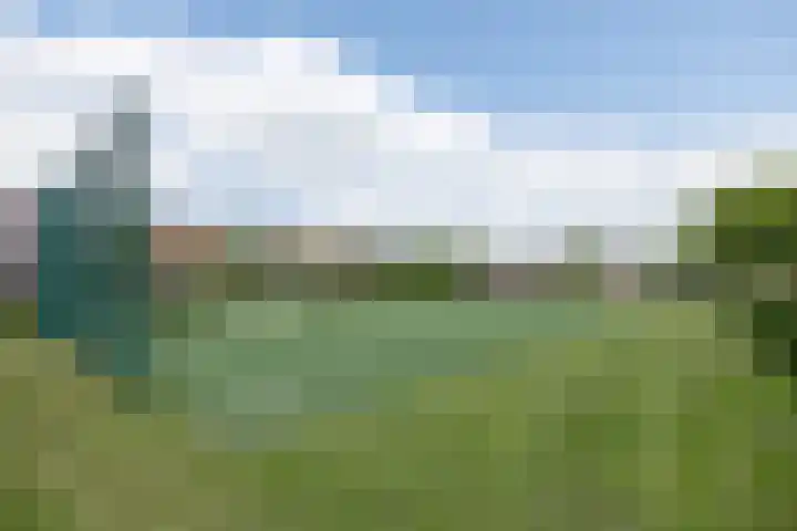Delderveenweg 32 Zwartebroek thumbnail 42