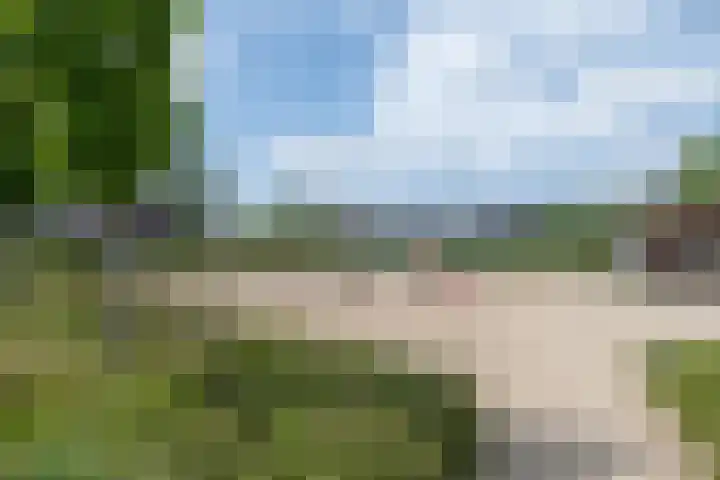Delderveenweg 32 Zwartebroek thumbnail 43