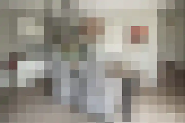 Delderveenweg 32 Zwartebroek thumbnail 8