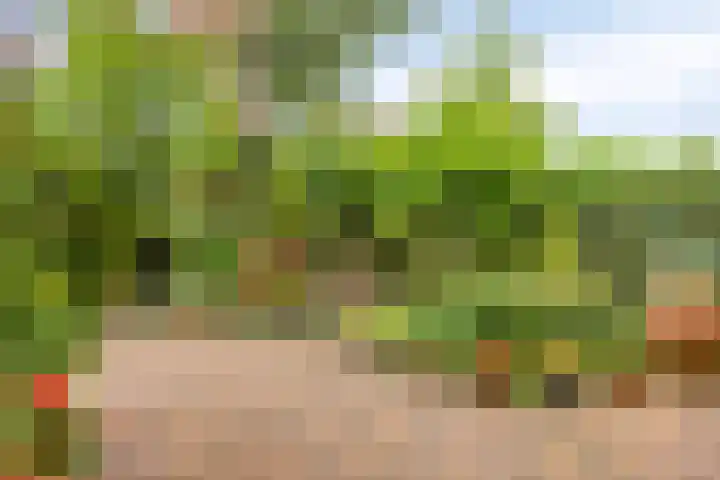 Delderveenweg 9 Zwartebroek thumbnail 27
