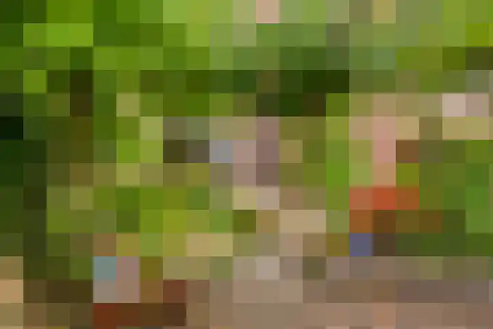 Delderveenweg 9 Zwartebroek thumbnail 32