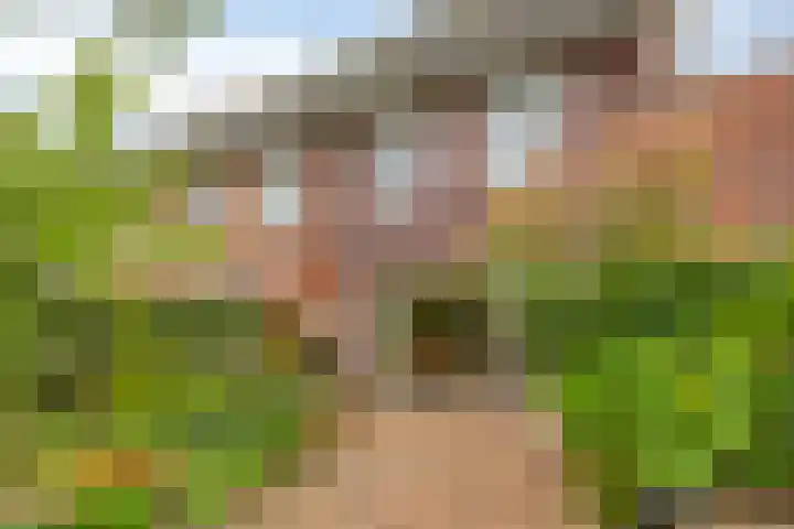 Delderveenweg 9 Zwartebroek thumbnail 35