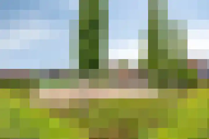 Delderveenweg 9 Zwartebroek thumbnail 37