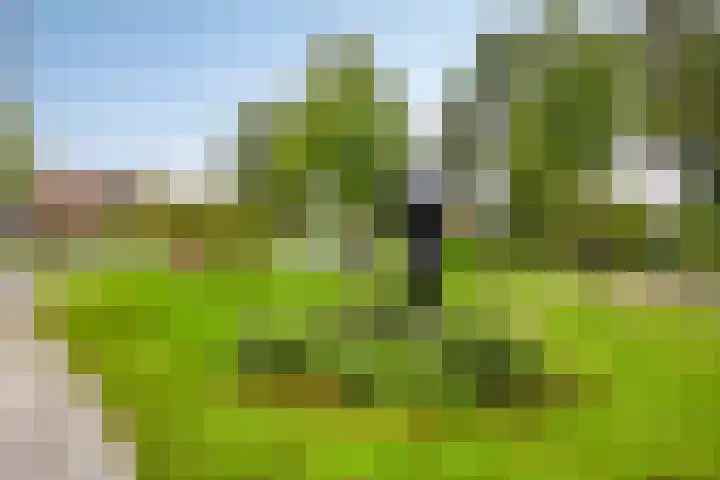 Delderveenweg 9 Zwartebroek thumbnail 38