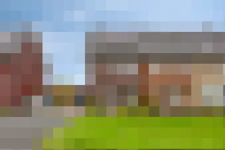 Delderveenweg 9 Zwartebroek thumbnail 4