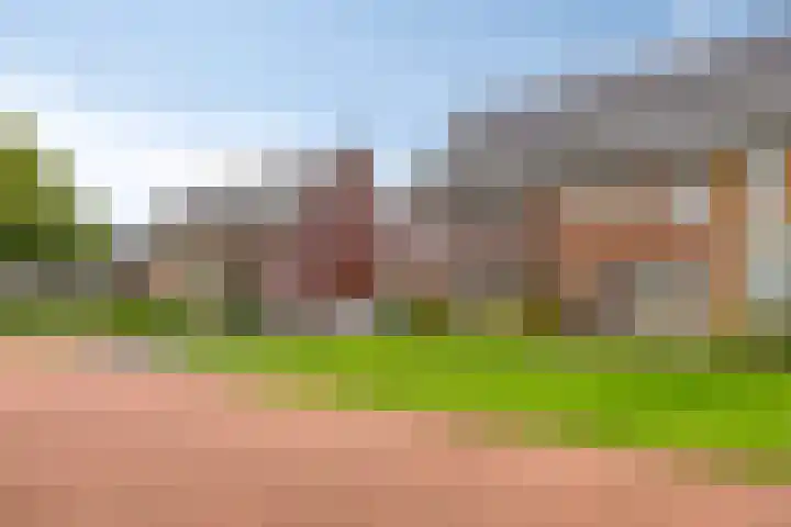 Delderveenweg 9 Zwartebroek thumbnail 5
