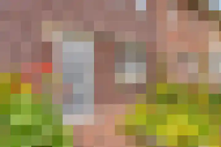 Delderveenweg 9 Zwartebroek thumbnail 6