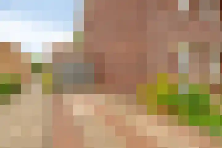 Delderveenweg 9 Zwartebroek thumbnail 7