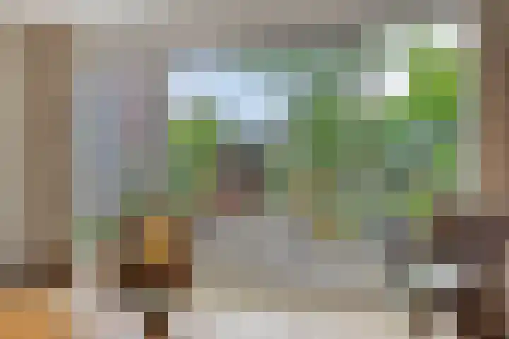 Delderveenweg 9 Zwartebroek thumbnail 9