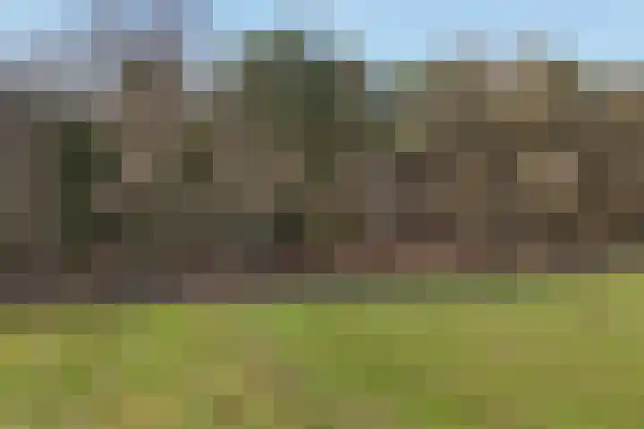Delerweg 9 Hoenderloo thumbnail 4