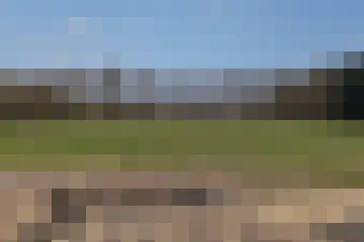 Delerweg 9 Hoenderloo thumbnail 5