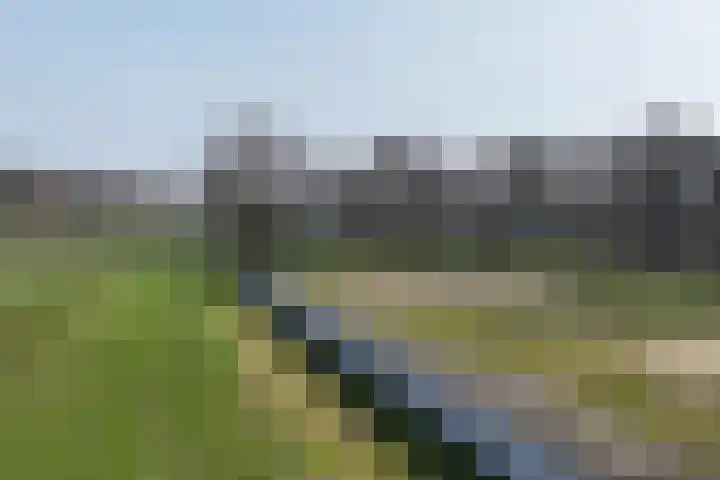 Delerweg 9 Hoenderloo thumbnail 6