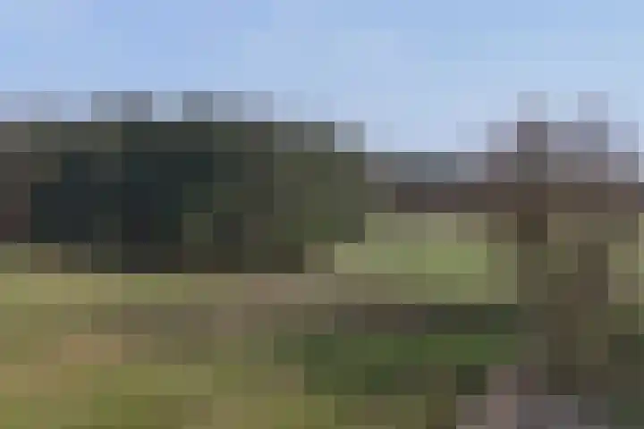 Delerweg 9 Hoenderloo thumbnail 8