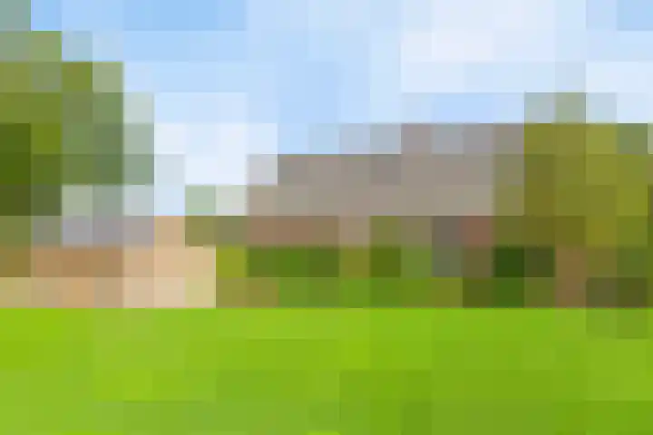 Delerweg 9 Hoenderloo thumbnail 9