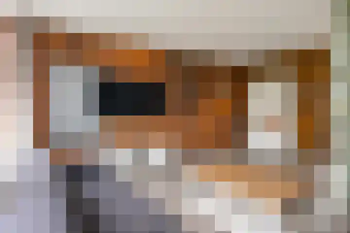 Delf 10 Veendam thumbnail 15