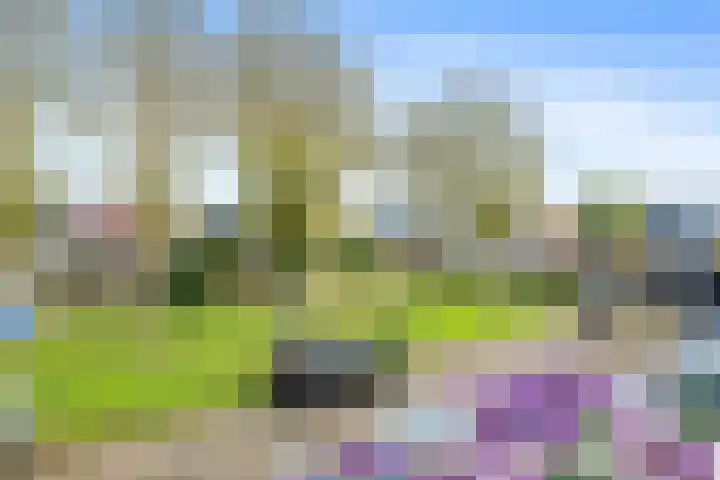 Delf 10 Veendam thumbnail 19