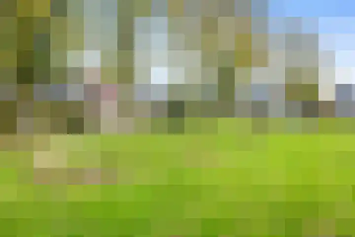 Delf 10 Veendam thumbnail 20