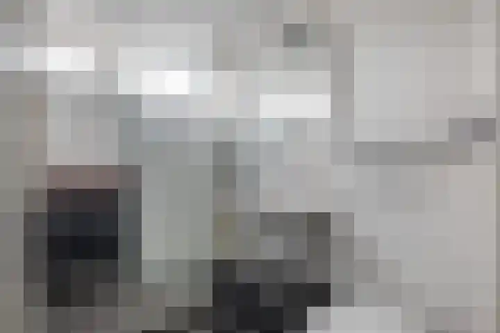 Delf 10 Veendam thumbnail 32
