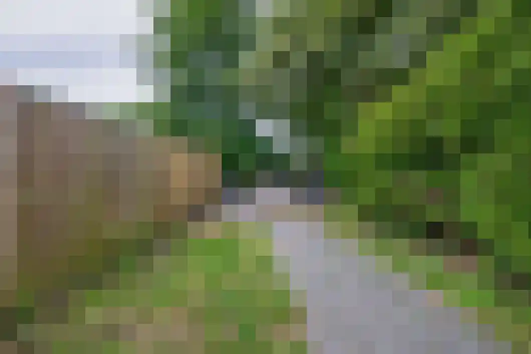 Delf 30 Veendam thumbnail 33