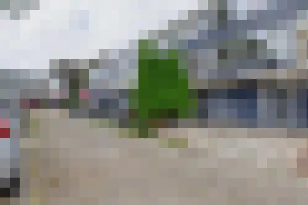 Delf 30 Veendam thumbnail 36