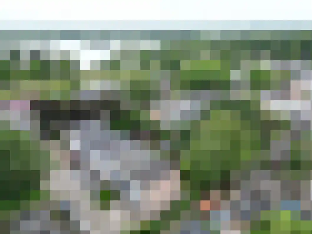 Delf 30 Veendam thumbnail 38