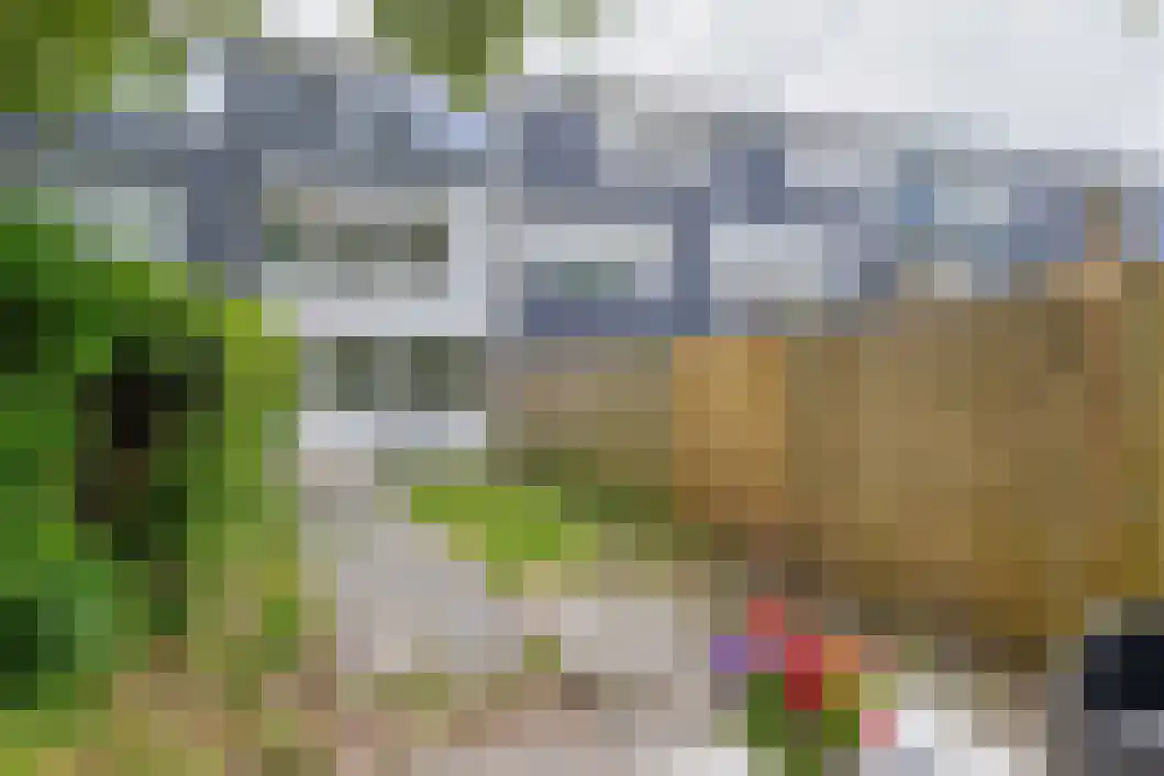 Delf 30 Veendam thumbnail 4