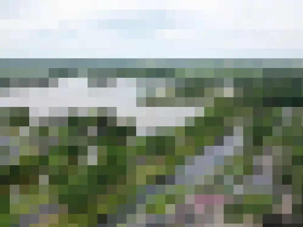 Delf 30 Veendam thumbnail 40