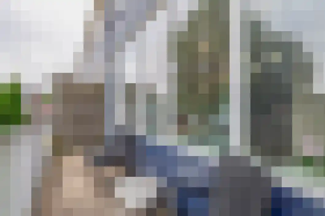 Delf 30 Veendam thumbnail 5