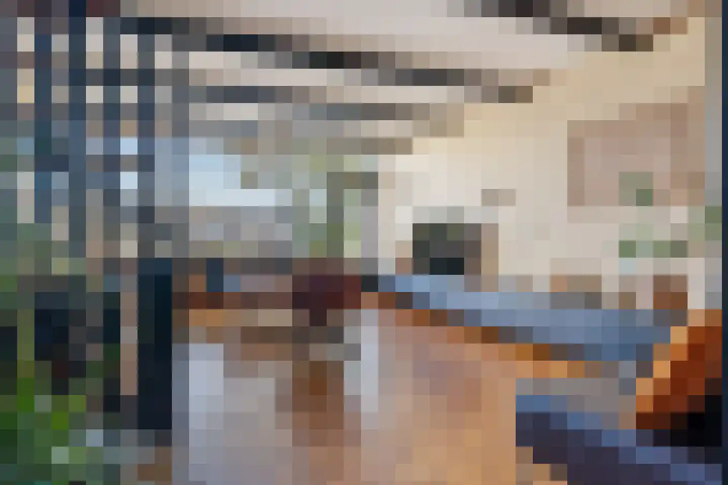 Delf 36 Veendam thumbnail 11