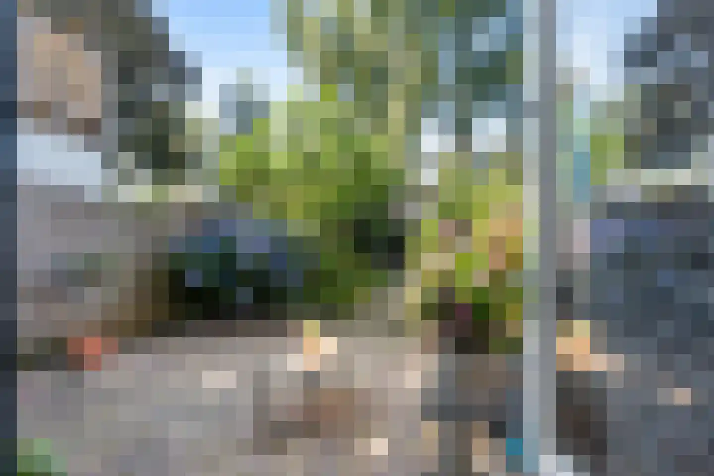 Delf 36 Veendam thumbnail 28