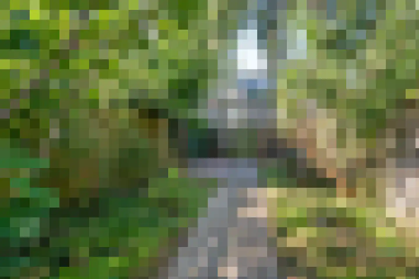 Delf 36 Veendam thumbnail 32
