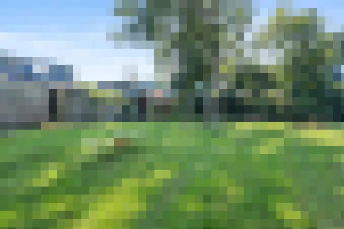 Delf 36 Veendam thumbnail 36