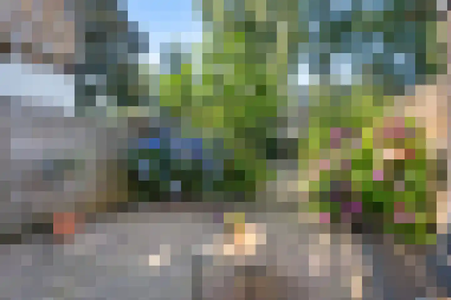 Delf 36 Veendam thumbnail 5