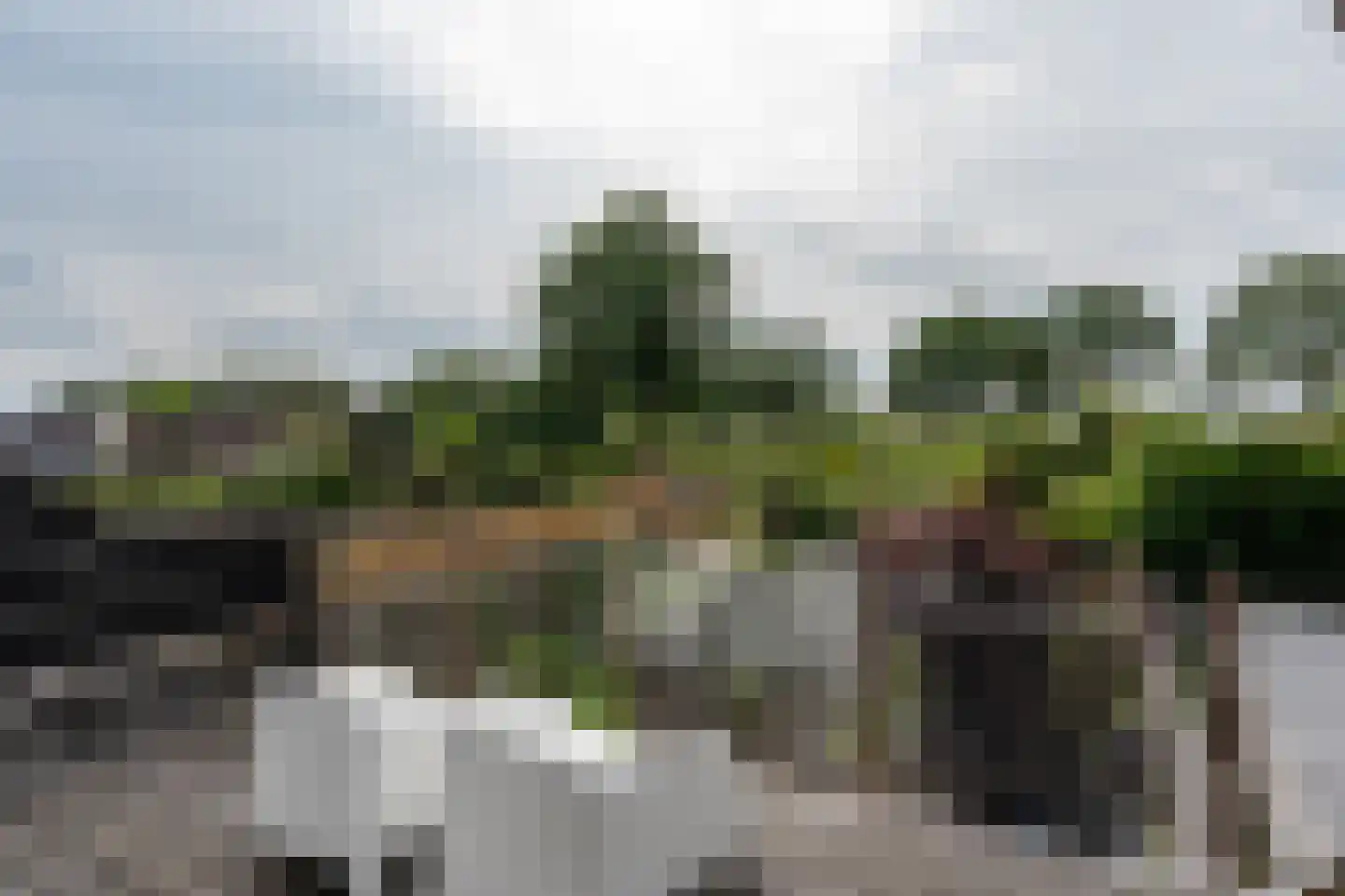 Delf 47 Veendam thumbnail 15
