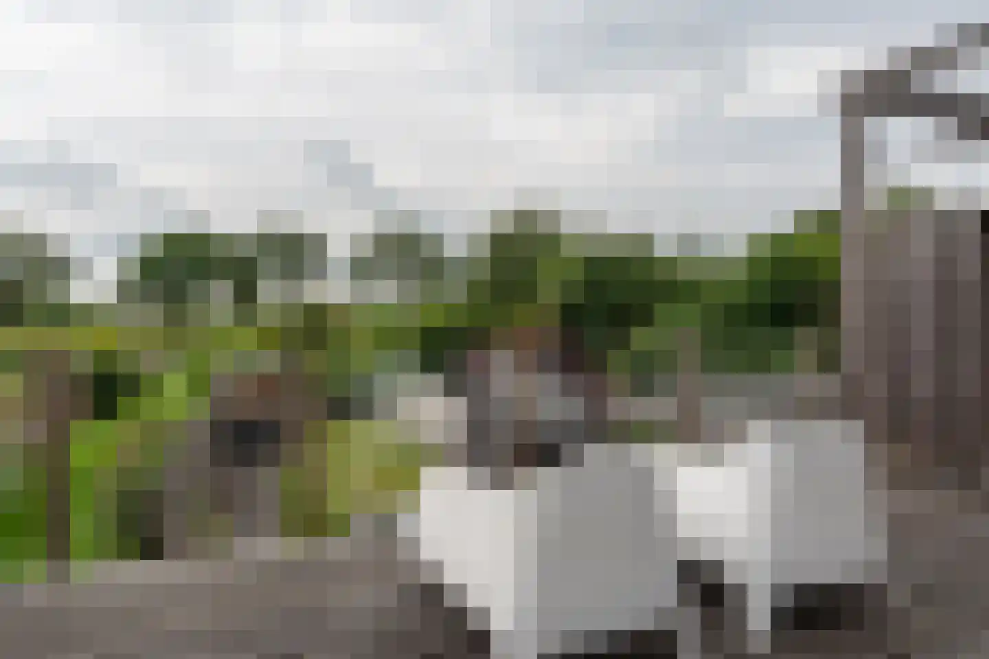 Delf 47 Veendam thumbnail 16