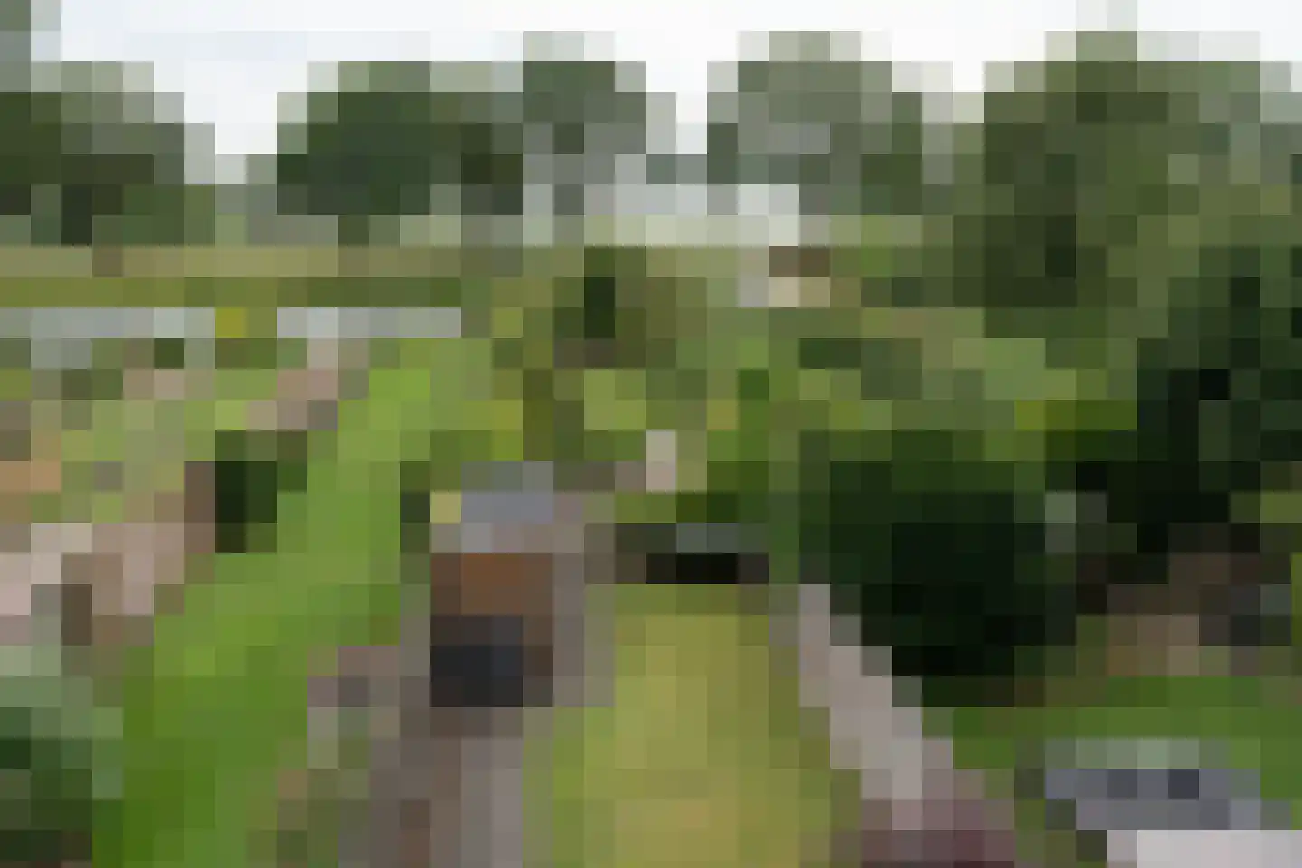 Delf 47 Veendam thumbnail 29