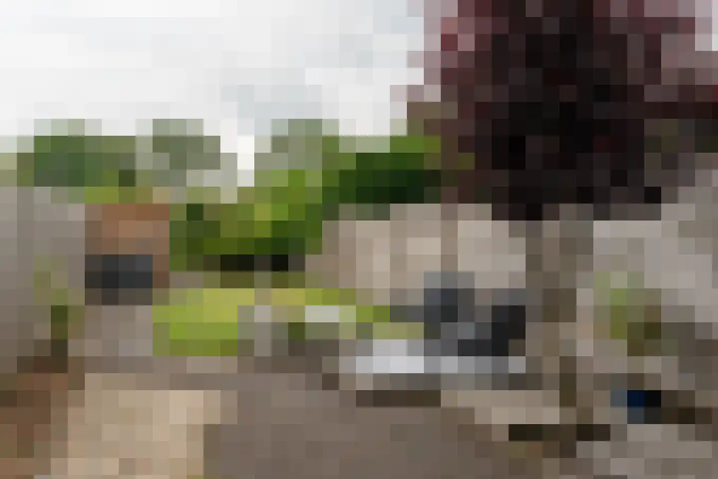 Delf 47 Veendam thumbnail 36