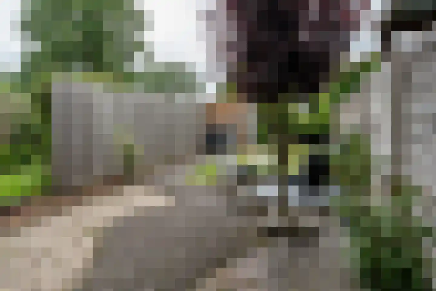 Delf 47 Veendam thumbnail 37