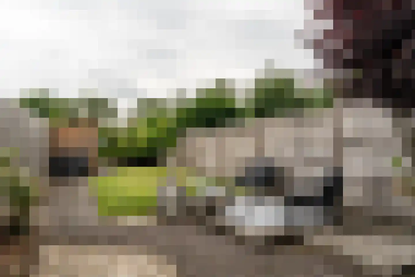 Delf 47 Veendam thumbnail 38