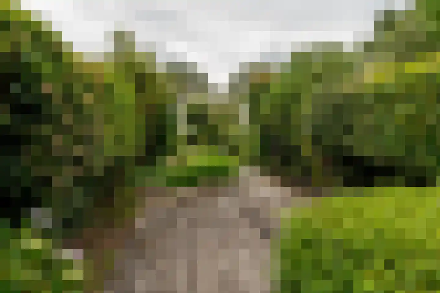 Delf 47 Veendam thumbnail 41
