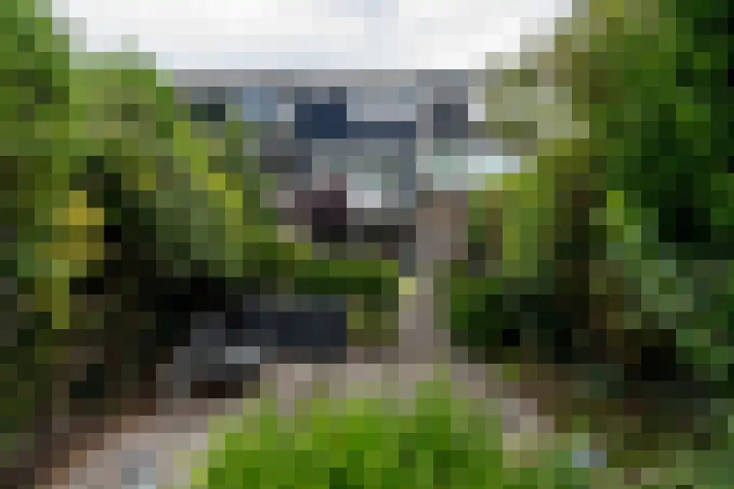 Delf 47 Veendam thumbnail 44