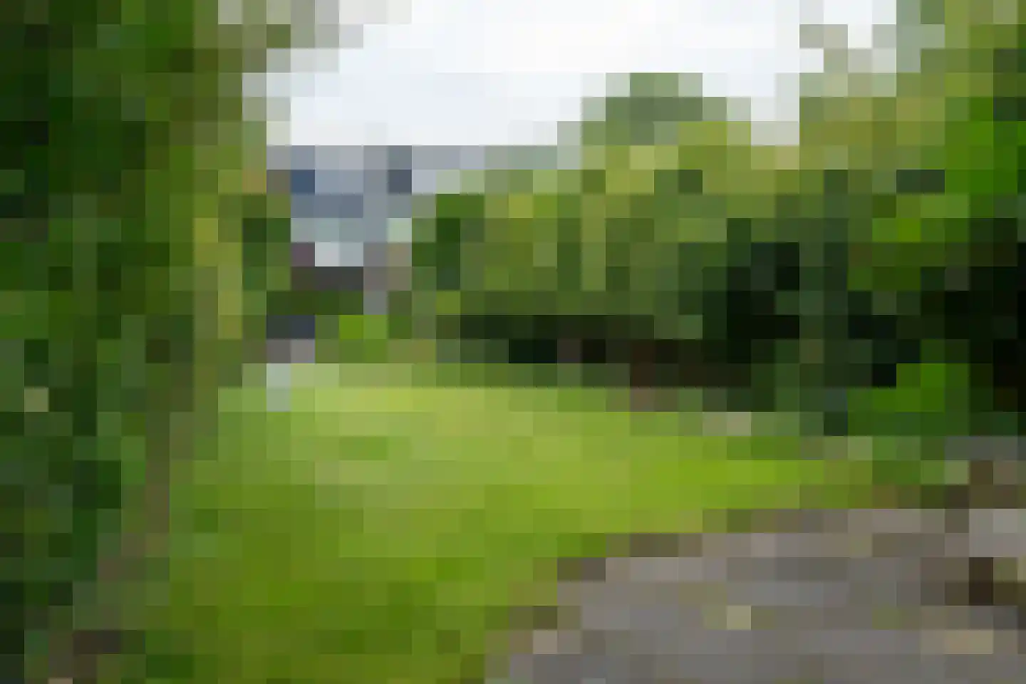 Delf 47 Veendam thumbnail 46