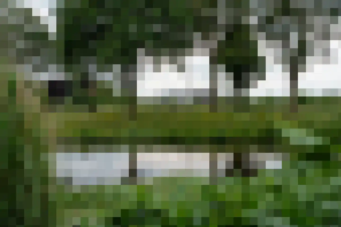 Delf 47 Veendam thumbnail 47