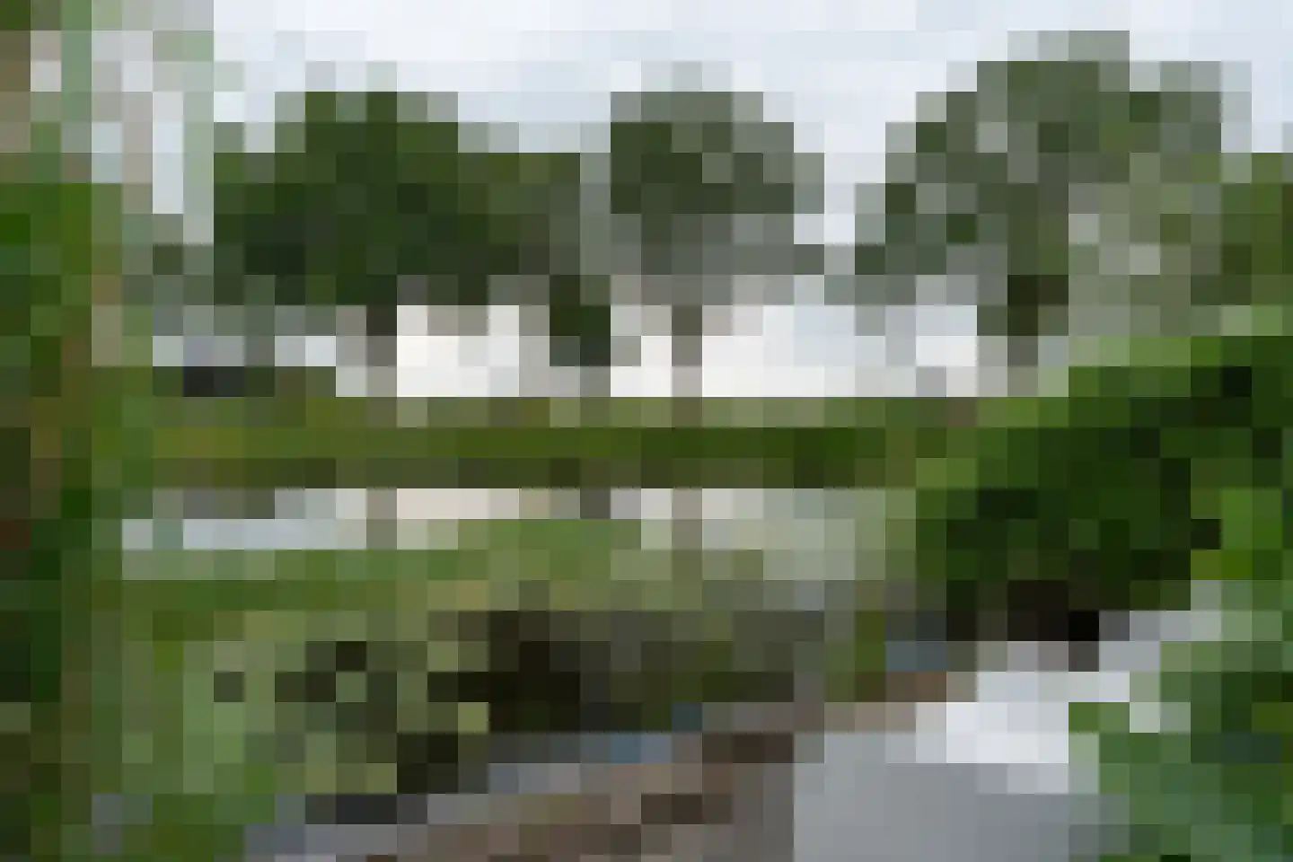 Delf 47 Veendam thumbnail 48