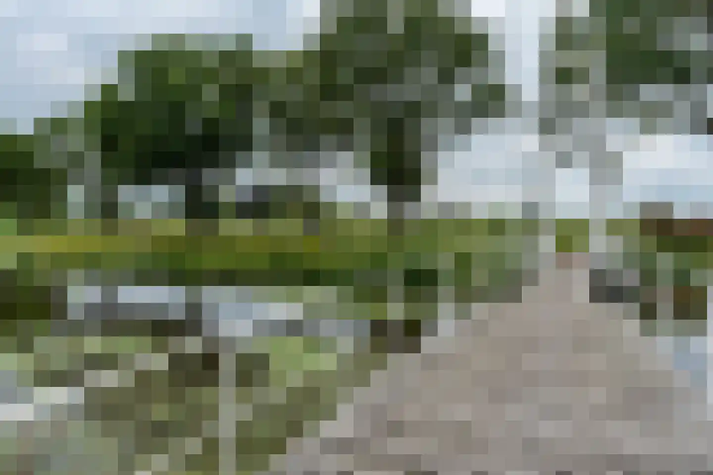 Delf 47 Veendam thumbnail 50