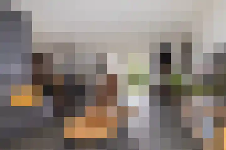 Delf 5 Delfzijl thumbnail 10