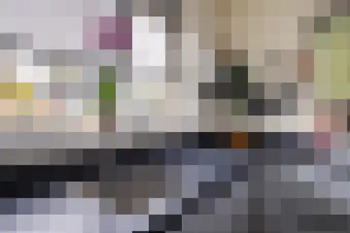 Delf 5 Delfzijl thumbnail 15