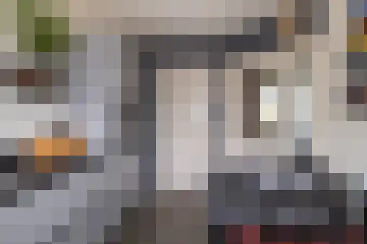 Delf 5 Delfzijl thumbnail 16