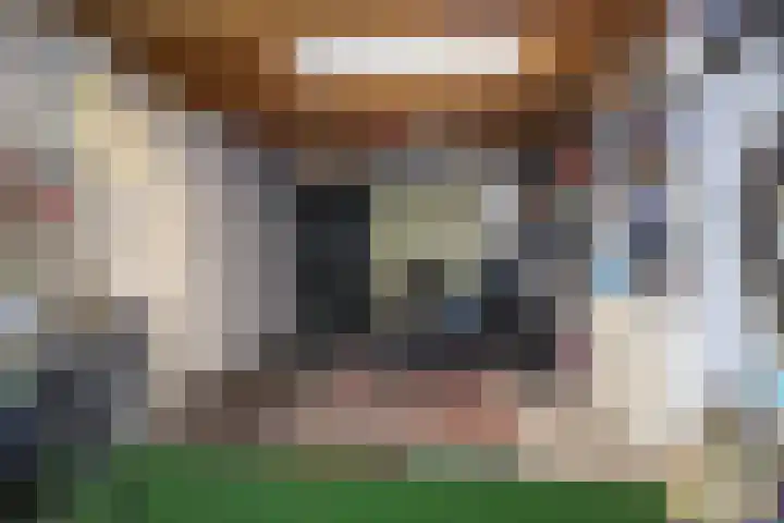 Delf 5 Delfzijl thumbnail 17
