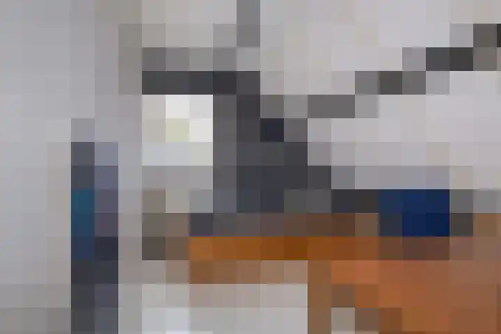 Delf 5 Delfzijl thumbnail 25